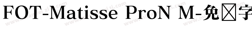 FOT-Matisse ProN M字体转换